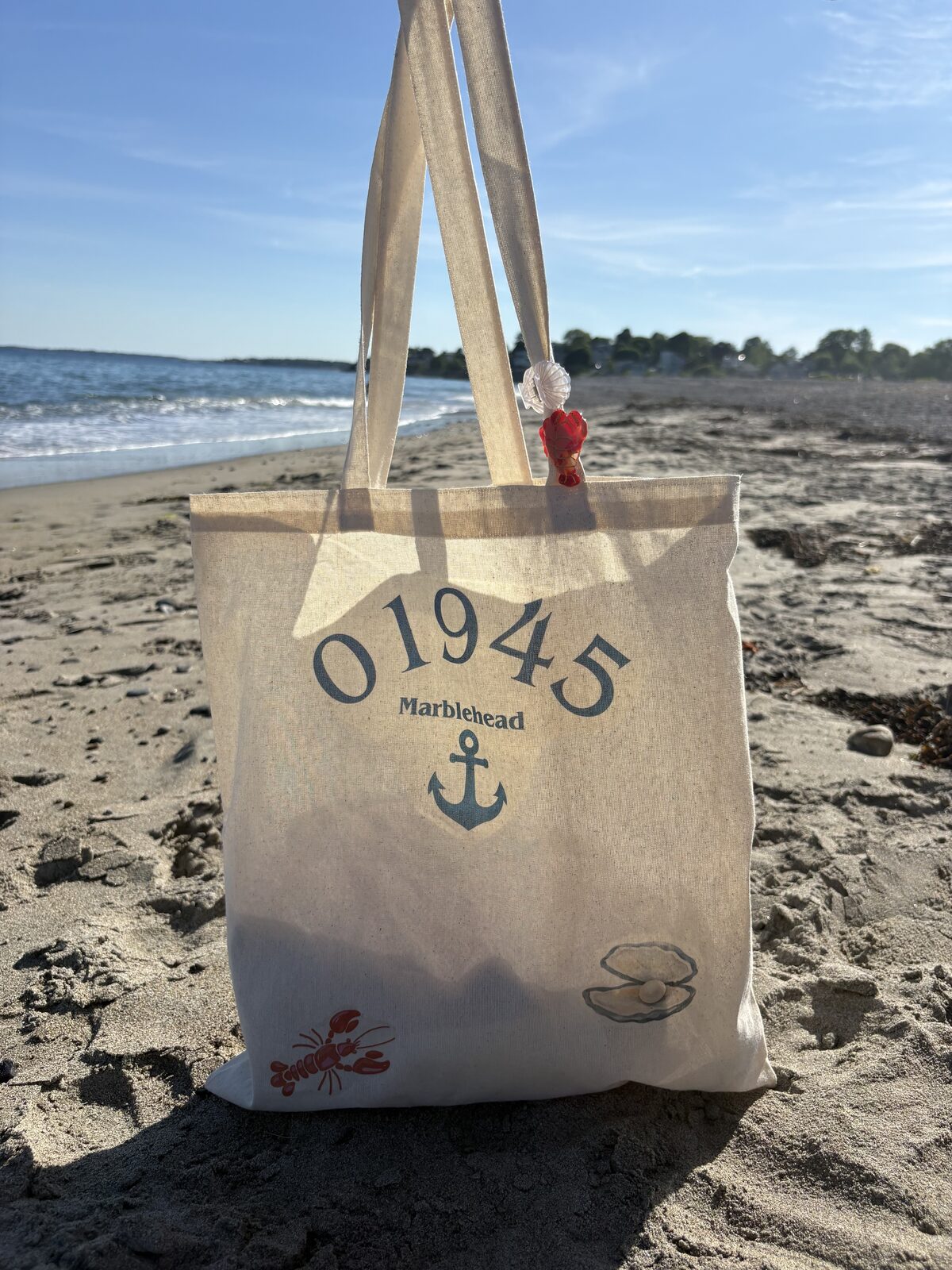 Canvas 01945 tote bag standing upright on the beach with the ocean in the background